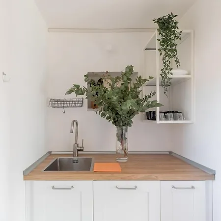 Iflat Penthouse Overlooking Lejlighed Rom